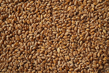 brown seeds thumbnail