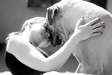 Girl playing with her dog thumbnail