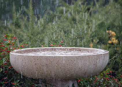 brown birdbath near red and orange petaled flowers thumbnail