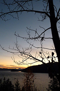 Early Morning, Canim Lake thumbnail