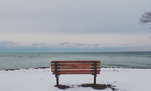 brown wooden bench near beach thumbnail