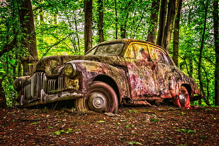 abandoned classic sedan at forest during daytime thumbnail