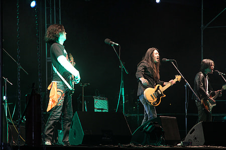 Strawberry Music Festival, The Band thumbnail