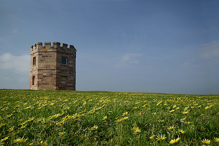 brown concrete castle on flower field thumbnail