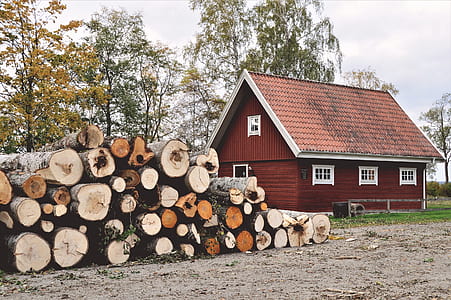 pile of lumber near red house thumbnail