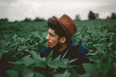 man in plant field thumbnail