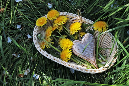 yellow petaled flowers in basket thumbnail