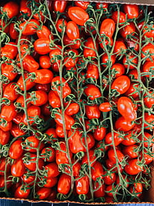 Photography of Tomatoes on Box thumbnail
