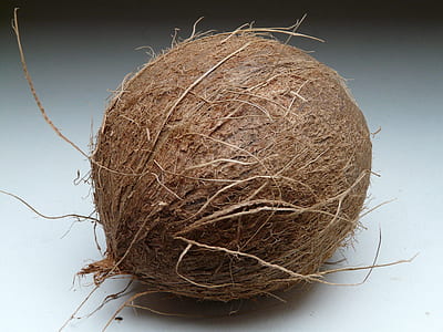 brown coconut thumbnail