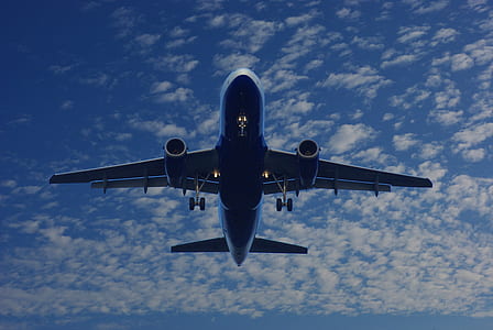 closeup photo of blue and gray airliner thumbnail