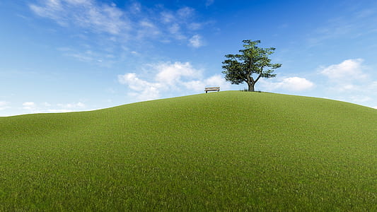 brown wooden bench beside green leaf tree at daytime thumbnail