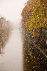time lapse photography of raindrops thumbnail