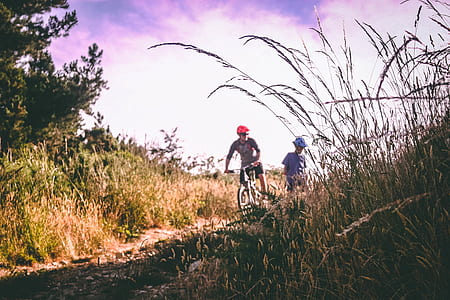 Two People Riding Bicycle thumbnail