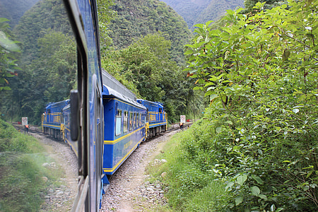 blue train near tree thumbnail