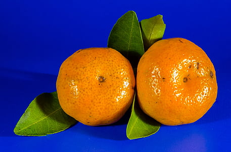 two citrus fruits thumbnail