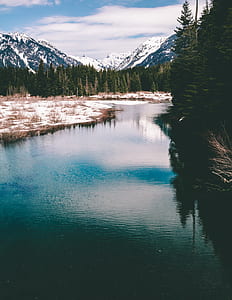 bird's-eye photography of river in forest thumbnail