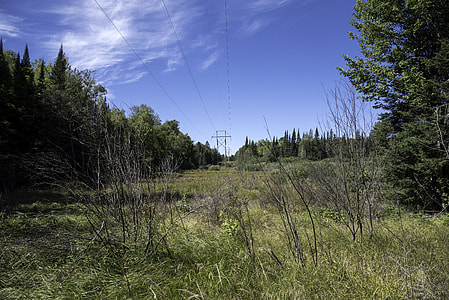 Phone Lines and landscape at Van Riper State Park, Michigan thumbnail