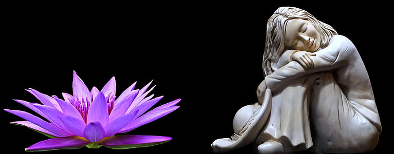 woman beside lotus flower thumbnail