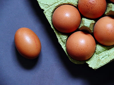 chicken eggs thumbnail