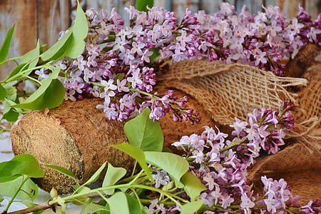 purple flowers thumbnail