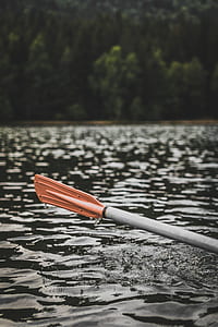 gray and brown boat paddle dip on body of water thumbnail