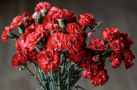 red petaled flowers bouquet thumbnail