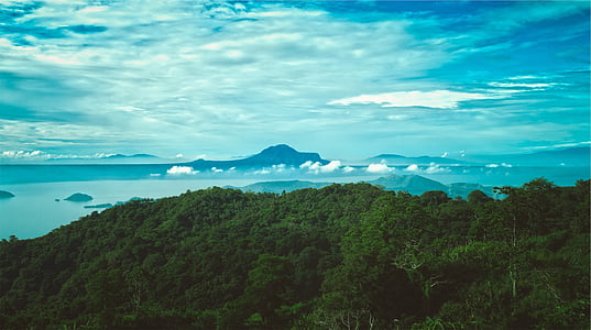 green leafed trees near sea thumbnail