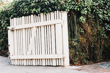 opened white wooden gate beside green plants thumbnail