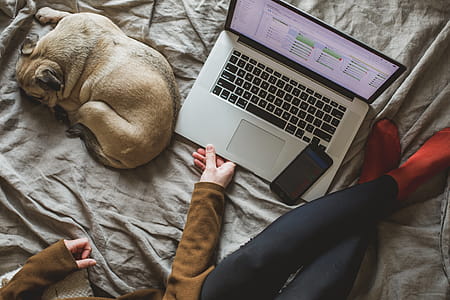 Working From Home Photo thumbnail