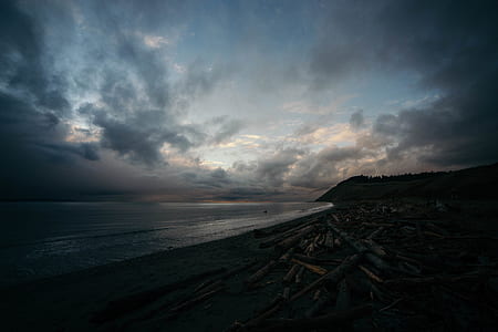 seashore at nighttime thumbnail