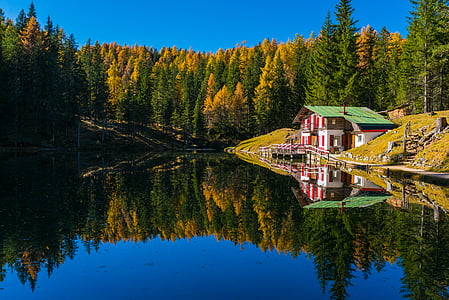 house near river and forest thumbnail