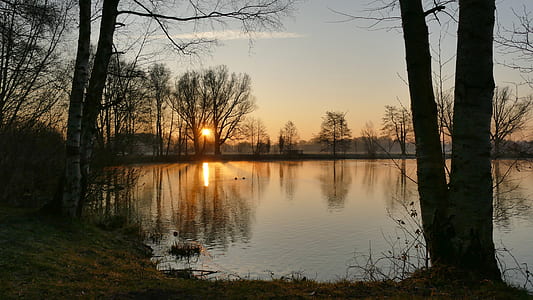 body of water near trees during golden hour thumbnail