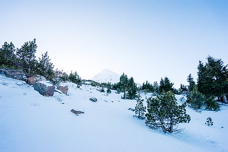 snowy mountain with trees during daytime thumbnail
