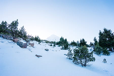 snow, winter, mountain thumbnail