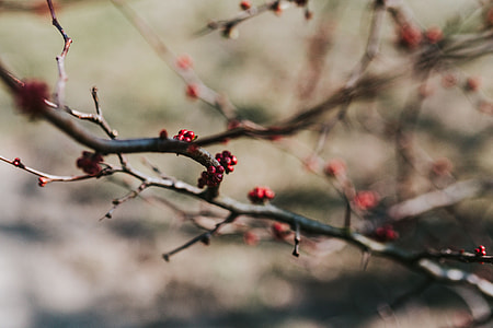 A walk in an autumn forest thumbnail