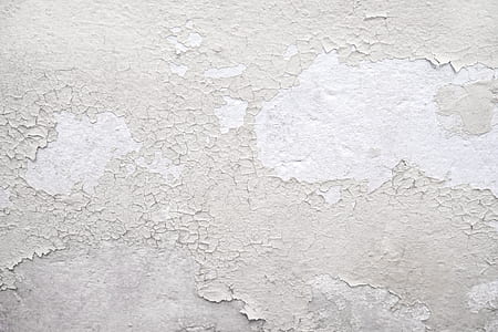 close-up photo of white painted wall thumbnail