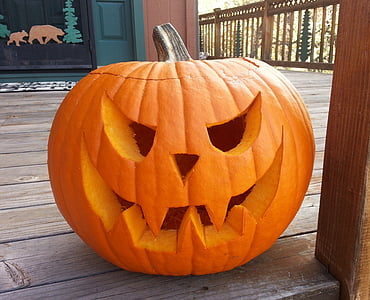 photo of orange pumpkin thumbnail