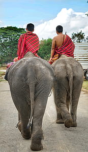 two man riding elephant thumbnail