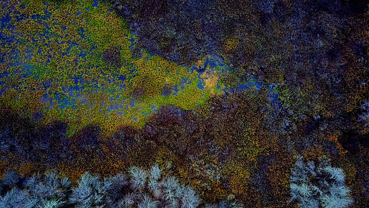 Jade, Wetlands, drone view, aerial view thumbnail