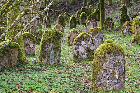 gravestones covered in moss thumbnail