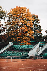 Empty Green and White Concrete Bleachers Near Brown Leaf Tree at Daytime thumbnail