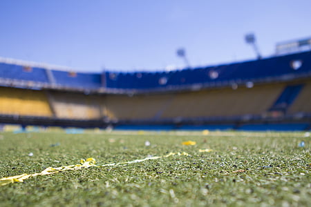 green grass field thumbnail