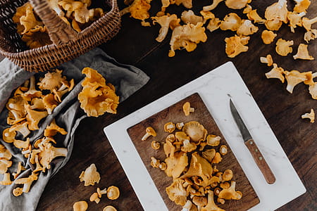 Picking mushrooms chantarelle in the woods thumbnail