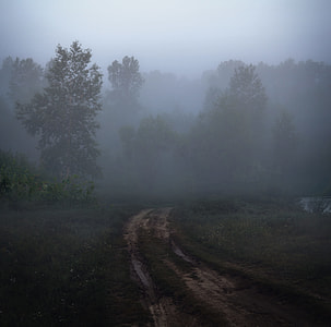 green trees and grasses thumbnail