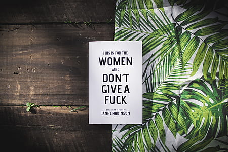 Women Don't Give A Fuck book thumbnail