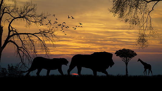 silhouette of lion, tiger, and giraffe thumbnail