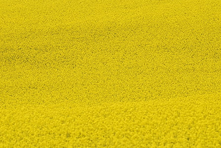 yellow textile thumbnail