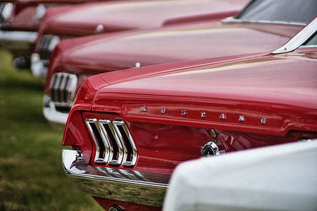 classic red Ford Mustangs thumbnail