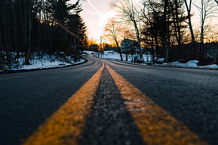 gray road near tall trees at daytime thumbnail