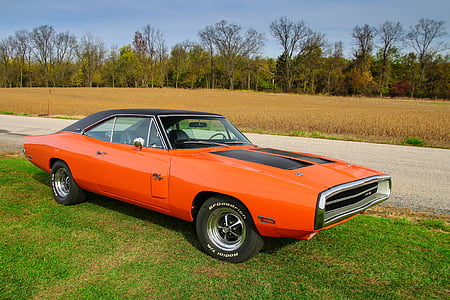 brown and black muscle car parked on green grass field thumbnail